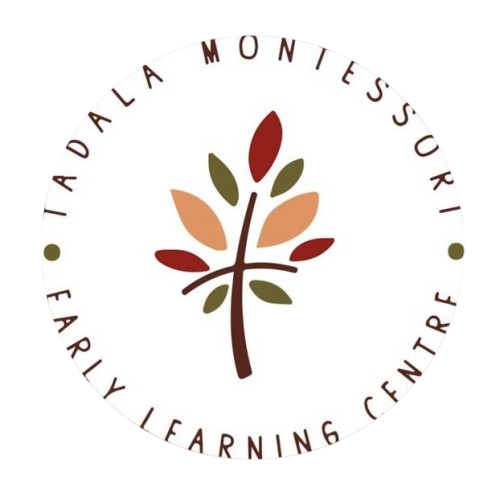 Image-removebg-preview